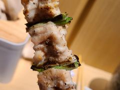 -鳥焱商店(王府大街店)