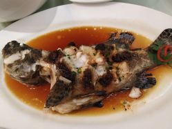 -志诚丽柏酒店·锦轩中餐厅·宴会厅