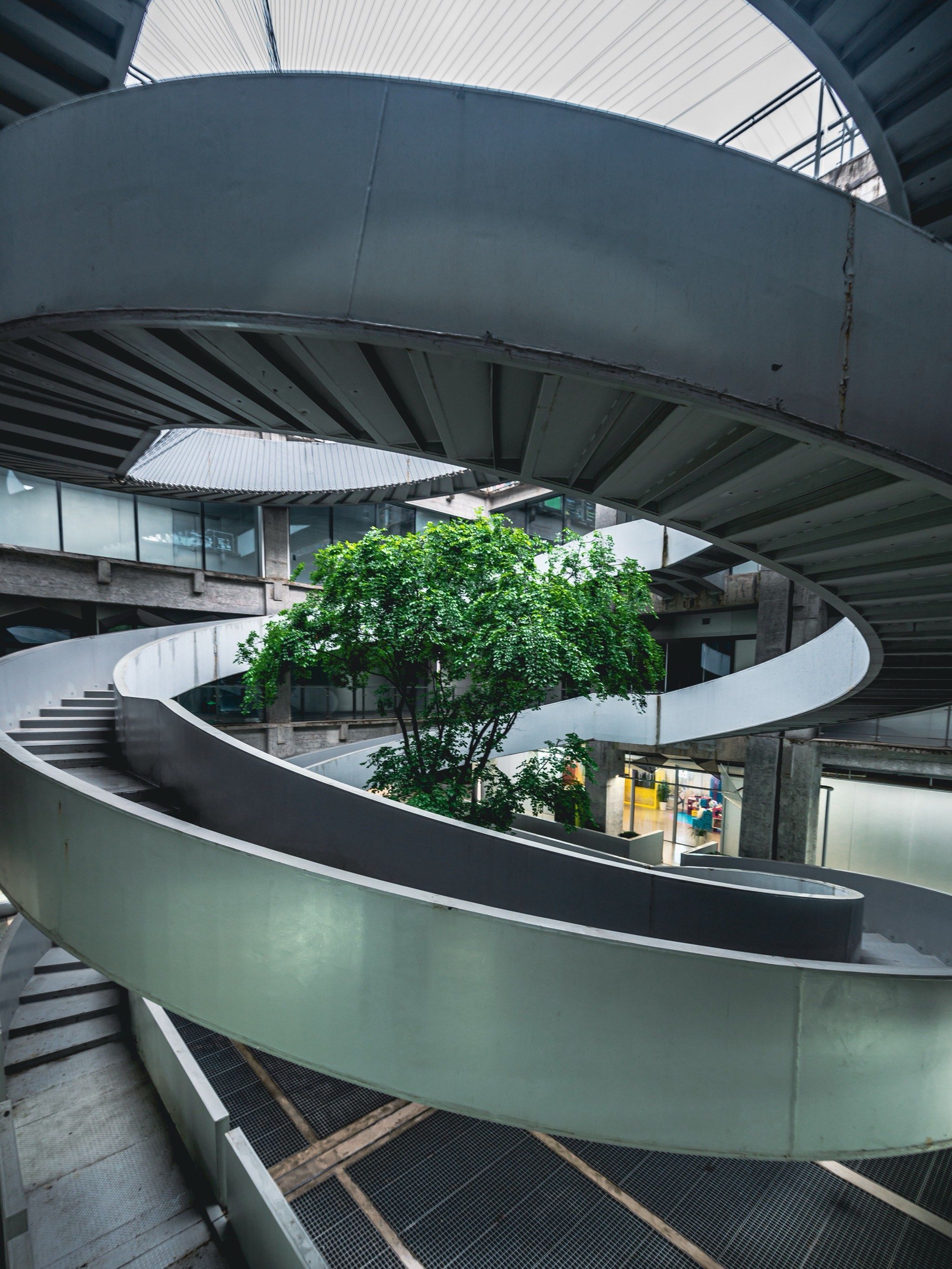 绿之丘,0元打卡魔都滨江的城市森林99