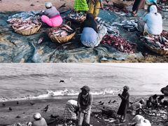 -尼甘布海鲜市场