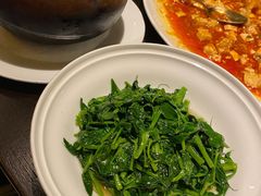 豌豆尖-甄御•海鲜新青岛菜(麦岛店)