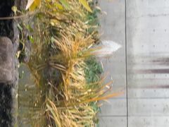-中国湿地博物馆