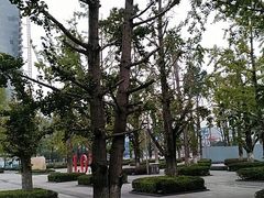 -百林公园-两江幸福广场