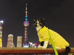 -上海港国际客运中心