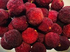-荣轩(新荣记环球金融中心店)