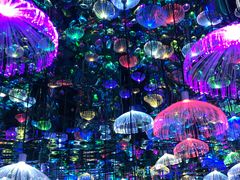 -天津梵高星空艺术馆(天河城旗舰店)