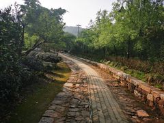 -雨花胜境