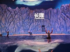 -珠海长隆海洋王国