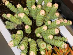 -侯家庄私房菜馆观景餐厅