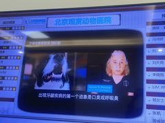 -北京观赏动物医院·24小时大型综合·猫专科·异宠专科
