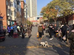 -宝鸡东道花鸟鱼虫市场(吉利花园商场店)