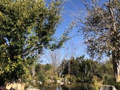 -崇圣寺三塔文化旅游区