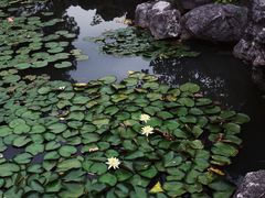 -玉女潭景区