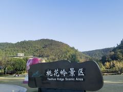 -桃花岭景区