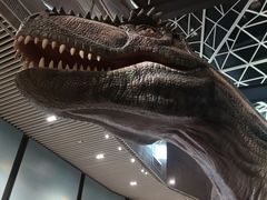 -湖南省地质博物馆