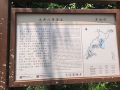 -龙井村