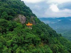 -巨鹏飞梦幻海岸