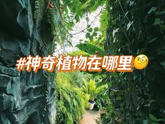 -国家植物园南园