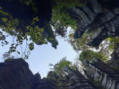 -梭布垭石林景区