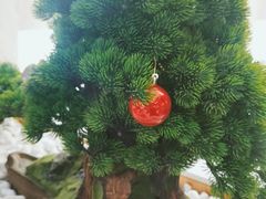 -如轩·海鲜砂锅粥·潮汕菜(南城店)