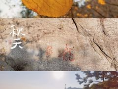 -竹子庵公园