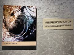 -巴音郭楞蒙古自治州博物馆