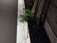 -小厨娘淮扬菜(六合欢乐港店)