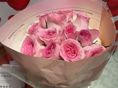 -新荟城(望京店)