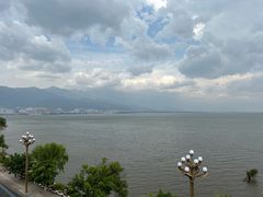 -野菌皇海景野生菌火锅(滨海大道店)