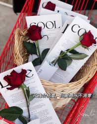 -LuLu玩具公社