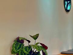 -via coffee(万象城店)