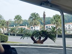 -圣爵菲斯大酒店(长沙世界之窗店)