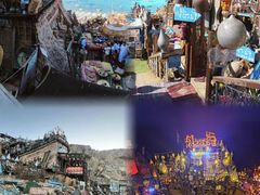 -金塔沙漠胡杨林景区
