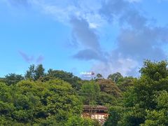 -清水湖度假村(罗浮山美食地标店)