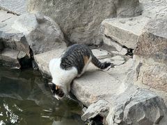 -西园寺素食(西园弄戒幢律寺店)