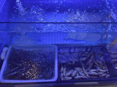 -威海渔村(静安旗舰店)