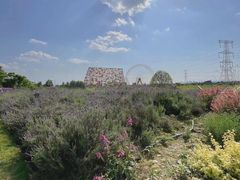 -紫颐香薰山谷景区