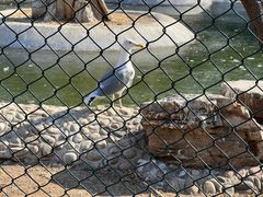 -石家庄市动物园