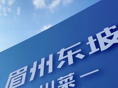 -眉州东坡(春秀路店)