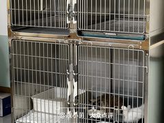 -中农大我爱我爱动物医院·核磁CT·猫病·24小时夜诊中心(石佛营店)