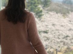 -雪绿茶博物馆
