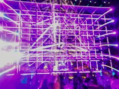 -锦江乐园舞狸花花游园会(夜场专享)