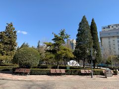 -黄村公园