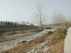 -洨河生态公园