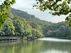-白马涧龙池景区