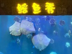 -合肥海洋世界