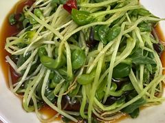 -少林寺欢喜地素斋馆