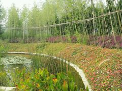 -武清南湖绿博园