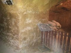 -千年枣林游览区