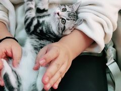 -lincat·猫舍(广州店)